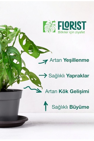 Florıst-yeşil Yapraklı Bitkiler Ve Daha Yeşil Yapraklar İçin Sıvı Konsantre Bitki Besini 200