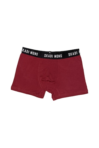 Skadi Mons Basic Erkek Bordo Iç Çamaşır 3605020123-601 Bordo
