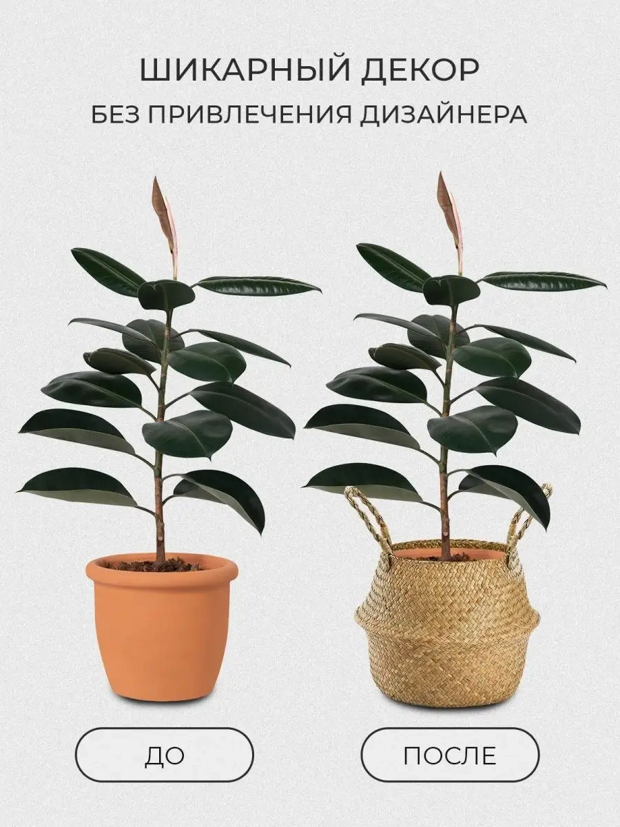 Ekosarm Çiçekler İçin Katlanabilir Saplı Örgü Sepet 152930858 Bej