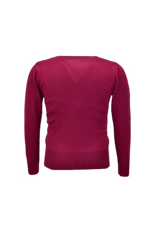 Kadın Sıfır Yaka Spor Kazak Bgl-st04085 Bordo