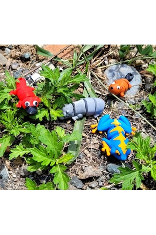 Tavşan Yumi Nehir Ve Göl Kenarında Yaşayan Hayvanlar Koleksiyonu- 4 Parça 5-7 Cm Hareketli Oyuncaklar Ve Bilgilendirici Kartlar "