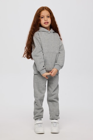 Panço Kız Çocuk Kapüşonlu Gri Sweatshirt