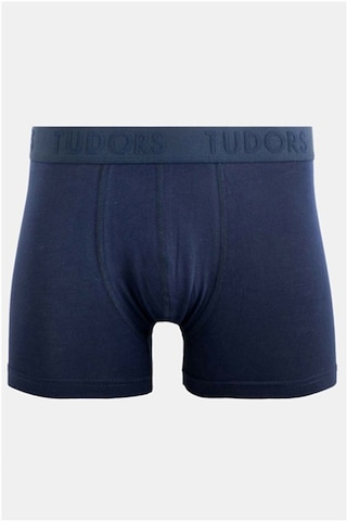 Tudors Erkek 2'li Pamuk Likralı Esnek Kumaş Boxer - 18903