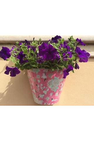 Güllü Duvar Saksısı - Pembe Plastik Saksı