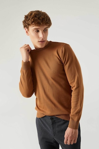 D's Damat Regular Fit Camel Tüylenme Yapmayan Bisiklet Yaka Triko Kazak Camel
