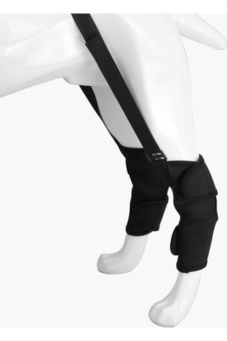 Homyl Arthritis L'den Stabilite Kaybı Için Köpek Destek L