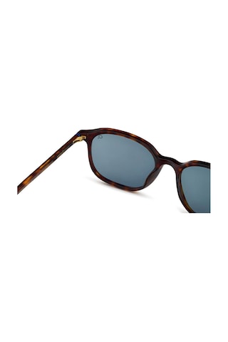 Etnia Barcelona 5 Mont Ras 53s Hv Polarize Unisex Güneş Gözlüğü Kahverengi