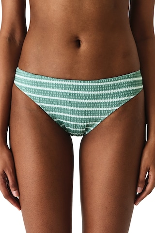 Penti Renkli Maela Slip Bikini Altı