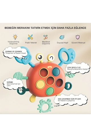 Yengeç Şekilli Montessori Duyusal Gözlem Beceri Geliştirme Eğitic