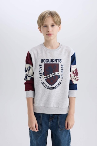 Defacto Erkek Çocuk Harry Potter Regular Fit Bisiklet Yaka Sweatshirt D4258a8nsgr400 Gri