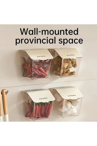 Ambition 4 Adet Zencefil Ve Sarımsak Taze Tutma Konteyner