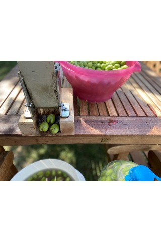 Kadıoğlu C2 Zeytin Kırma Aleti