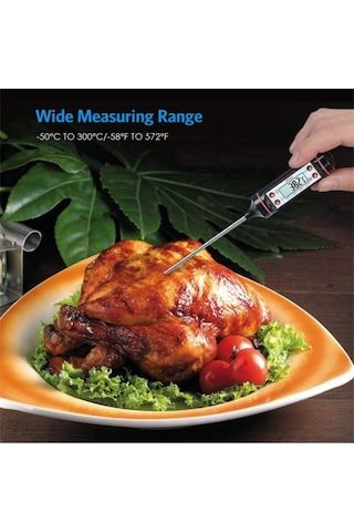 Tp101 Dijital Termometre