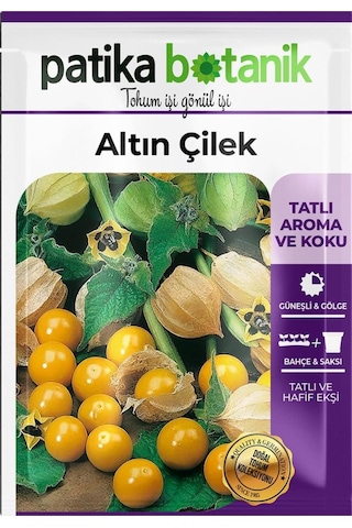 30 Adet Altın Çilek Tohumu