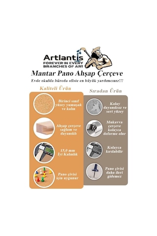 Mantar Pano Ahşap Çerçeve 60x90 Cm 1 Adet Harita Çivisi Hediyeli Duvara Monte Mantar Çerçeve Evde Okulda Büroda O Diğer