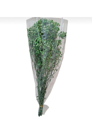 Şoklanmış Kurutulmuş Cipso Çiçeği 1 Demet 50-60gr - 35-45cm Yeşil