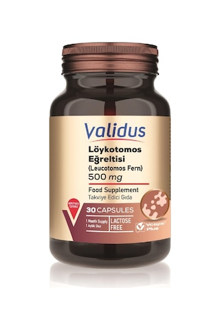 Validus Löykotomos Fern 500 Mg 30 Kapsül Validus Löykotomos Fern 500 Mg 30 Kapsül