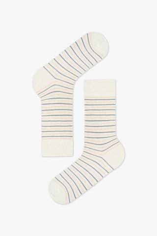 Penti Erkek Renkli Calm Stripes 3'lü Soket