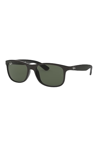Ray-Ban Rb4202 606971 Erkek Güneş Gözlüğü