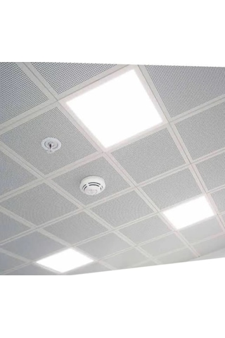 Forest 20w 30x30 Clipin Beyaz Işık