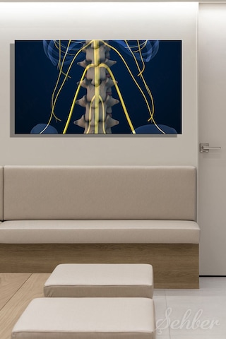İnsan Anatomisi Bel Omurları Ve Sinir Yollarını Gösteren 3d Tıbbi İllüstrasyon Yatay Kanvas Tablo 3584