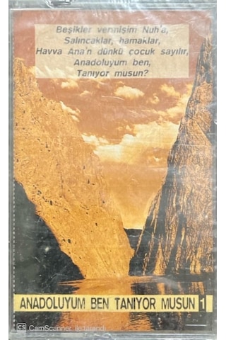 Plak Değildir Kaset Tir Anadoluyum Ben Tanıyor Musun Açılmamış