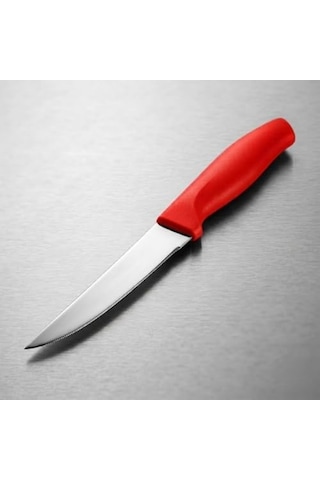 Paslanmaz Çelik Meyve Bıçağı Seti, Kırmızı Saplı, 12 Parça, Mutfak Bıçakları