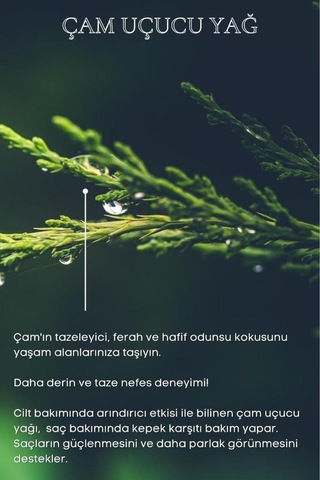 Bade Natural Çam Uçucu Yağı %100 Saf 10 ML