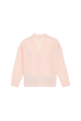 U.s. Polo Assn. Kız Çocuk Açık Pembe Hırka Triko 50316267-vr078 Acık Pembe