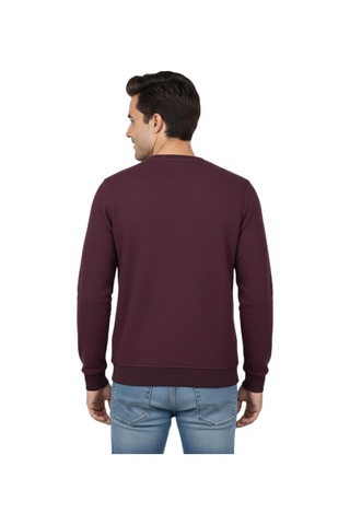 Raymons Erkek Sıfır Yaka Petek Doku Regular Fit Sweatshirt Bgl-st04950 Bordo