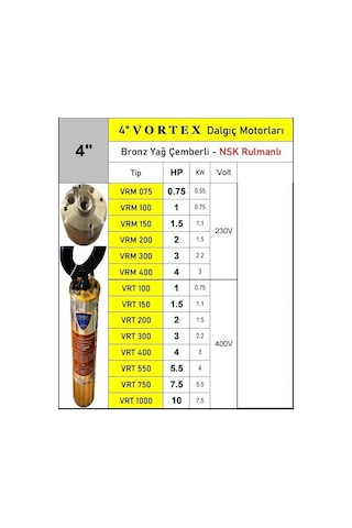 Vrm 300 3 Hp 220v Bronz Yağ Çemberli Nsk Rulmanlı 4" Dalgıç Pompa Motoru