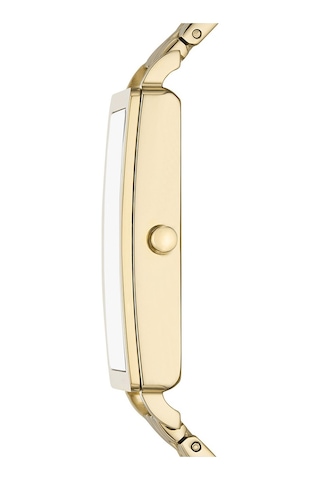 Skagen Skw3098 Kadın Kol Saati