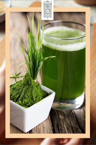 Organik Arpa Çimi Tozu 100g, Premium Barley Grass Powder Glutensiz, Vegan, Katkısız