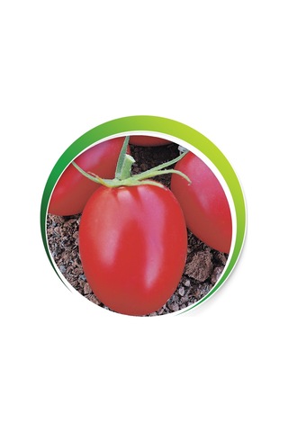 Makrogen Rio Grande Domates Tohumu 10 Gr