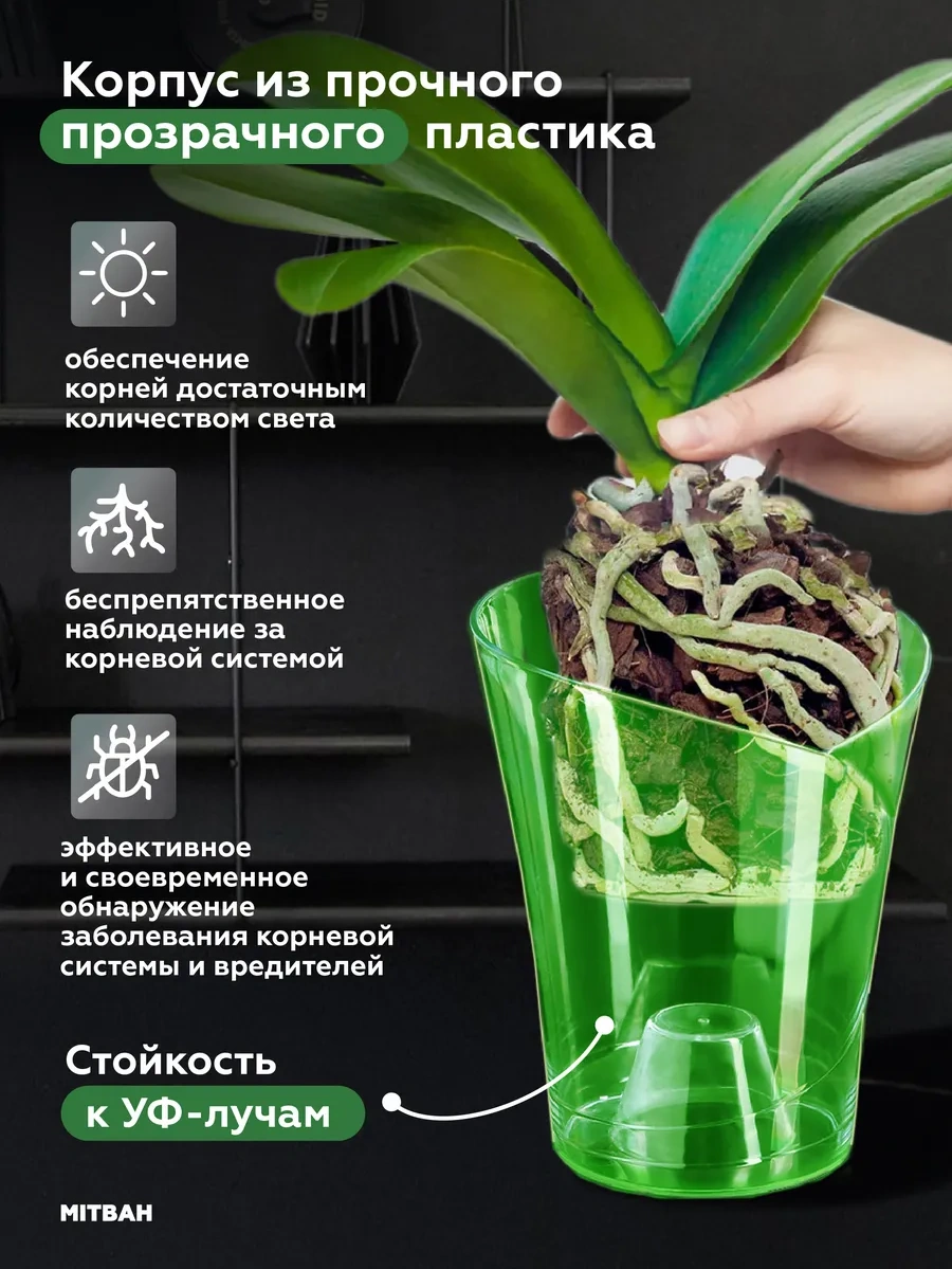 Mıtbah Şeffaf Orkide Saksısı 2 Adet 74247175