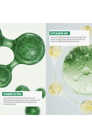 Dermokil Prebiyotik & Vitamin B5 Kepeğe Karşı Şampuan 950 Ml X 2 Adet Kepekli