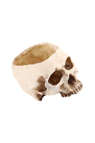 Konesam Büyük Boy Reçine Kafatası Süs Tepsisi - Bitki Yetiştirme, Atıştırmalık Depolama, Bar Ve Halloween Dekorasyonu