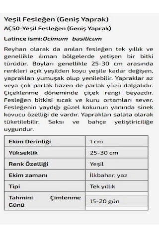 AGRODAL TARIM Yeşil Fesleğen Geniş Yaprak Çiçeği Tohumu