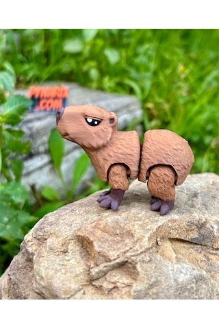 Kapibara Oyuncak 3d Hareketli Organik Vip Model Orta Boy