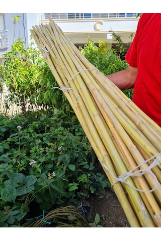 Bambu Fidan Bitki Destek Çubuğu 20 Adet 2 Metre Boy