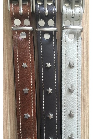 Atlantik Yıldızlı Köpek Boyun Tasması Bej 2.5 x 55 CM Bej