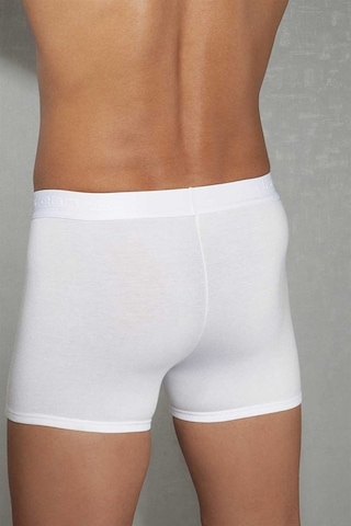 Doreanse Erkek Modal Torbalı Normal Paça Boxer 1755