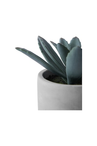 Yargıcı Yapay Bitki Sukulent 13x13 Cm 26knha1099t St