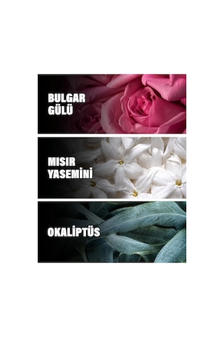 Accento Overdose 5 Ml Kadın Parfüm Narenciye