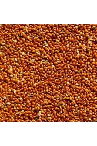 Elenmiş Kızıl Dal Darı 1 KG Elenmiş Kızıl Dal Darı 1 KG