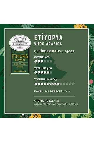 Caffe Corsini Etiyopya %100 Arabica Çekirdek Kahve 250 G