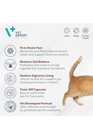 Vetexpert Diarvet Small Breed And Cats
