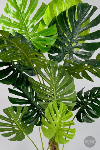 Biçiçek Yapay Monstera Ağacı Deve Tabani 160 Cm Mocha Vega Saksıda