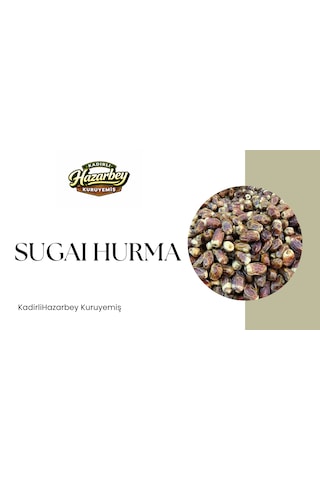 Sugai Hurma Yeni Sezon 500 G