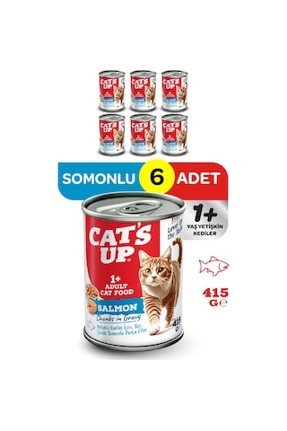 Cats Up Yaş Yetişkin Kedi Maması Somonlu 415gr 6lı